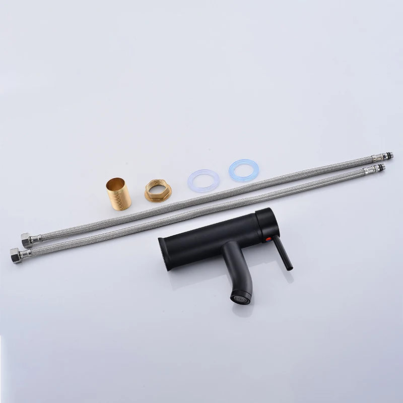 Black Basin Faucet Stainless Steel Painted Single Hole Hot Cold Mixer Tap