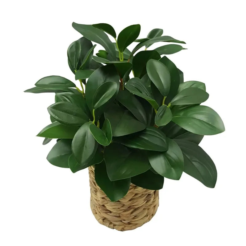 13" Artificial Peperomia Plant in Natural Wicker Basket